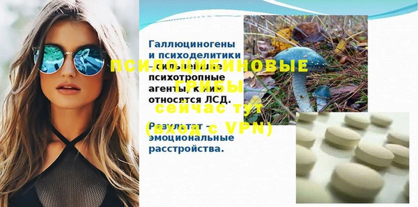 твердый Нязепетровск