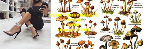 твердый Нязепетровск