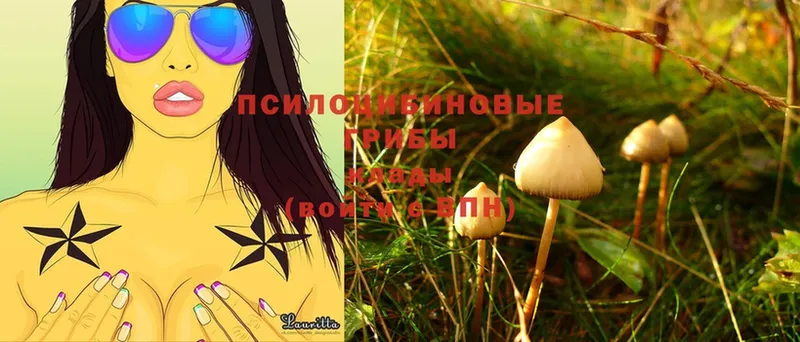 Галлюциногенные грибы Magic Shrooms  Уварово 